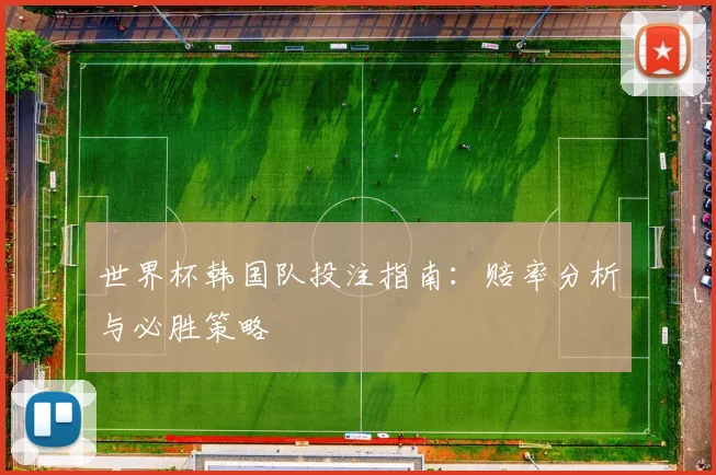 世界杯韩国队投注指南：赔率分析与必胜策略