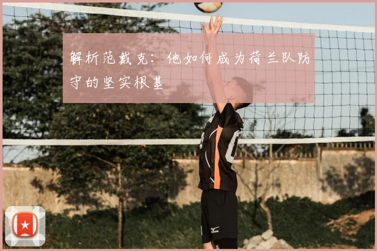 解析范戴克:他如何成为荷兰队防守的坚实根基