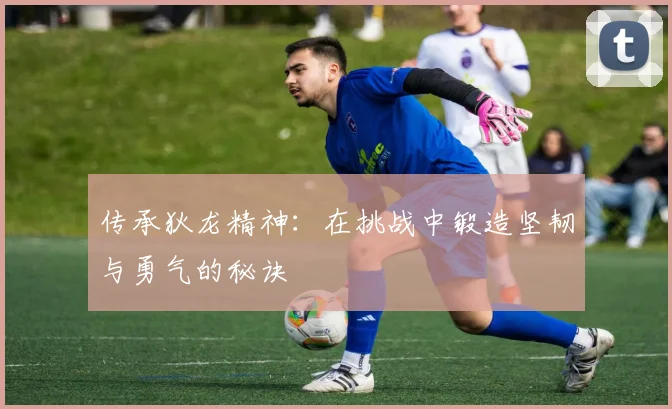 传承狄龙精神：在挑战中锻造坚韧与勇气的秘诀