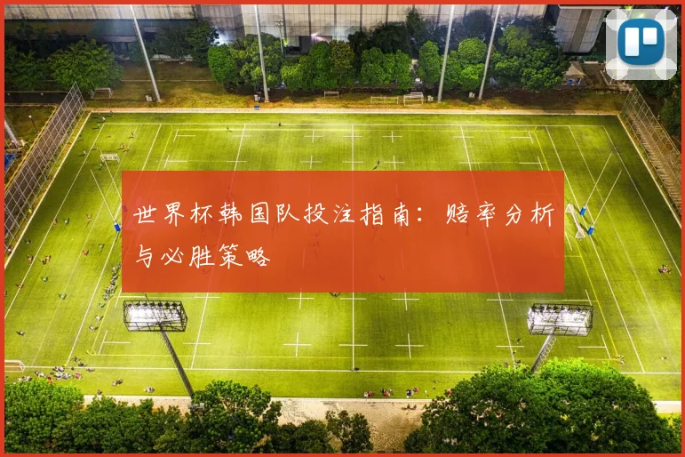 世界杯韩国队投注指南：赔率分析与必胜策略